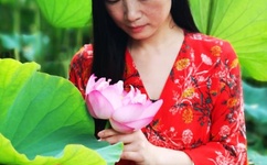 护花危情国语版下载